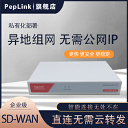 PePLink远程办公 远程监控 分支互联  远程NAS 远程桌面 文件共享 ERP OA 访问 内网穿透 异地组网路由器 HS1216 HS-1216