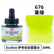 泰伦斯（TALENS）斯伊考伦液体水彩颜料 30ML全透明水彩插画动漫玻璃笔彩色颜料墨水（1） 676草绿