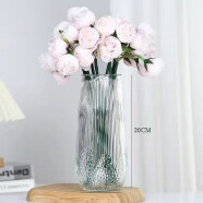 盆栽花卉绿植室内阳台桌面水培花卉开花植物常青花瓶 20cm下莲花玻璃花瓶