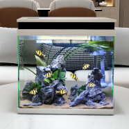森森 超白玻璃一体小鱼缸HNE380款小型桌面水族箱免换水金鱼缸水族箱