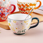丝贝美瓷 创意高颜值网红家用陶瓷马克杯大容量水杯牛奶咖啡杯燕麦早餐杯 花红柳绿