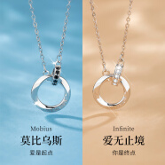 Tsful925银情侣项链一对高级感一男一女锁骨链异地恋生日礼物送女友 【莫比乌斯】情侣项链
