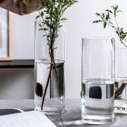 盛世泰堡玻璃花瓶水培透明水养植物插花大花瓶客厅餐厅装饰摆件直筒款1030