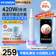 HYUNDAI可视超声波洁牙器洗洁牙结石菌斑神洁牙垢去除器牙垢清洁器冲牙洁牙器礼物礼物送爸爸 白金【高清可视420w分/次共振】 4支喷头