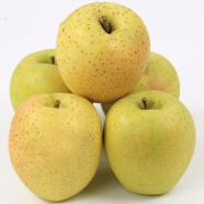 青尊园日本引种王林苹果新鲜脆甜多汁冰糖心雀斑甜脆苹果孕妇水果礼盒 6颗 精选装