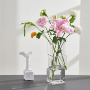 ns风玻璃花瓶透明高档轻奢摆件创意客厅插花高级感网红花瓶 异形方块透明小号