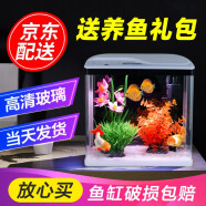 舒博莱特（SHUBOLAITE）鱼缸水族箱懒人家用客厅小型迷你生态桌面金鱼缸造景玻璃过滤鱼缸 240-普通花草造景 + 养鱼大礼包