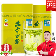 贡苑绿茶头采安吉白茶明前特级250g2024新茶叶正宗珍稀白茶礼盒自己喝