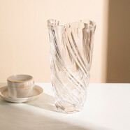 透明玻璃透明加厚花瓶摆件客厅插花花瓶干花富贵竹百合花瓶欧式餐桌水培花瓶 波西米亚大号/透明