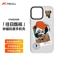 魅族Pandaer绿洲系列磁吸手机壳 苹果iPhone手机系列新款防摔保护套四角全包壳动漫卡通 人文（磨砂）iPhone13 Pro