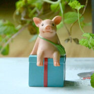 真自在可爱小猪摆件猪年七夕节生日礼物读书动物树脂装饰精致送男生女生创意摆件 坐礼物上的小猪