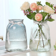 盛世泰堡 北欧玻璃花瓶插花瓶干花满天星仿真花水培植物容器小花瓶客厅装饰摆件 冰点透明款18cm