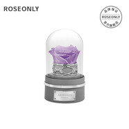 roseonly诺誓星座独角兽抱抱龙永生花玫瑰花音乐球送女友生日圣诞节礼物 摩羯座-音乐球-钟罩-守护色