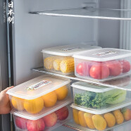 家の物语冰箱收纳盒日本进口保鲜盒食品级密封水果盒冷冻饺子厨房收纳神器 冰箱冷冻盒【产地日本】 单件装 3L