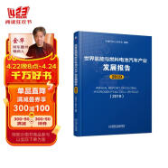 世界氢能与燃料电池汽车产业发展报告 2019