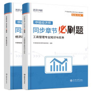 环球网校2024年中级经济师教材配套章节必刷题习题集真题经济基础知识财工商管理专业知识与实务共2册