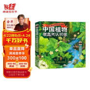 中国植物，很高兴认识你！（函套共4册）5-12岁儿童自然科普绘本图鉴家门外的自然课