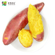 家美舒达山东 黄心蜜薯 约1kg 小果 红薯 地瓜 新鲜蔬菜