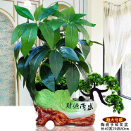 喜莱卡 仿真花假花仿真绿植花卉植物盆景前台客厅卧室装饰品工艺品 超大白菜发财树