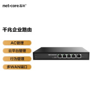 磊科（netcore）NBR100企业有线路由器 全千兆多WAN口 支持宽带叠加/负载均衡/云端管理 稳定带机100台