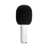 温以嘉定制小巨蛋麦克风G2手持一体家用娱乐无线蓝牙K歌话筒 C12（国际版）全新/支持消原音