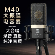 完美本色（Perfect Pure） M40大振膜电容麦克风有声读物专业录音大合唱直播主播话筒 官方标配