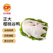 CP正大食品 樱桃谷鸭 3.6斤 煲鸭汤 烤鸭食材 冷冻