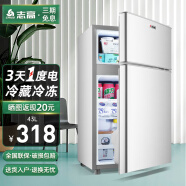 志高（CHIGO）小冰箱43L双门迷你小型电冰箱 家用租房冷藏冷冻 节能低噪 43L星光银【1-2人使用】