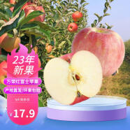 城南堡花 山西运城万荣红富士苹果水果 圣诞节平安果冰糖心苹果 新鲜水果 （75-80mm）净重约2.5kg
