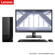 联想【定制Win7专业版】联想(Lenovo)扬天系列台式机商用办公税控台式主机财务电脑带串口可加光驱 13.6L机箱主机+19.5英寸显示器 定制G6900 4G 512G 1G W7