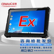 辰想 W10N加固三防平板电脑工业pad可定制防爆win10/安卓系统 S10A（4+64G+网串口+USB+2D） 防爆版本