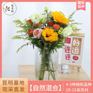 悦多彩AB级生活鲜花 昆明基地 现采直发 玫瑰百合指定款花束单次体验款 自然混合1次体验款