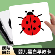 冯式早教 黑白卡新生儿0-3月视觉激发 婴儿用品追视卡早教卡片专注力训练 黑红卡-48种图案（3-6月）