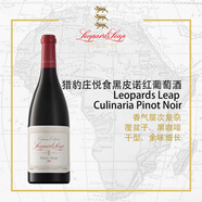 LION 'S LAND南非原瓶原装进口红酒 猎豹庄悦食系列 黑皮诺干红葡萄酒 红色 单支