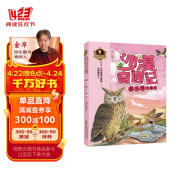 沙漠奇遇记:猫头鹰开宴会