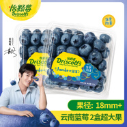 怡颗莓Driscoll's云南蓝莓特级Jumbo超大果18mm+2盒装125g/盒 新鲜水果