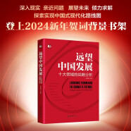 远望中国发展——十大领域的战略分析 中国式现代化行动指南