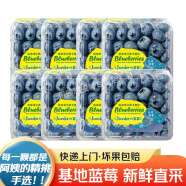 觅鲜探长国产云南新鲜大蓝莓当季蓝莓水果生鲜非怡颗 单果14mm以下 2盒装 125g /盒