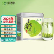 叙府茶叶天府龙芽2024年新茶明前绿茶独雀舌宜宾早茶川茶集团罐装50G