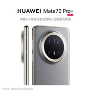 HUAWEI Mate 70 Pro+ 鸿蒙AI 高亮钛玄武架构 红枫原色影像 华为鸿蒙智能手机 金丝银锦 鸿蒙NEXT先锋版 16GB+1TB
