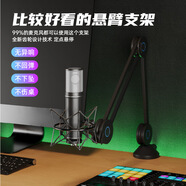 硕色话筒防震架Isk铁三角纽曼通用麦克风悬臂伸缩底座桌面支架莱维特240直播悬挂架U87悬臂麦克风支架 黑色支架