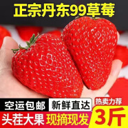 好媛好宇草莓 丹东99红颜奶油草莓 生鲜新鲜水果礼盒 丹东99红颜草莓3斤装单果20-30g