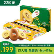佳沛（zespri）新西兰阳光金奇异果22粒原箱 单果重约146-175g 水果 猕猴桃