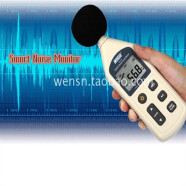 万胜通高精度分贝仪声级计噪声大小dB值噪音扰民检测仪WS1361 WS1361
