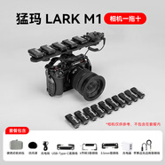 猛玛（MOMA）无线麦克风领夹麦克风猛犸larkm1一拖四小蜜蜂vlog采访户外直播手机收音麦 猛犸larkm1一拖十【适用佳能/索尼/尼康MIC