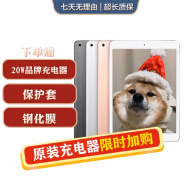 Apple苹果 iPad Air1/Air2/Air3 迷你mini2/4/5 二手平板电脑ipad iPad2018 128G 插卡版 95成新