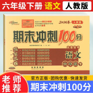 2024新期末冲刺100分六年级下册语文人教版试卷同步单元期中期末复习练习册试卷