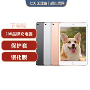 Apple苹果 iPad Air1/Air2/Air3 迷你mini2/4/5 二手平板电脑ipad mini5 64G WiFi版 9成新