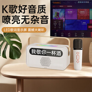 雅兰仕（EARISE）无线蓝牙音响便携式音响一体带话筒K歌音箱家庭KTV自带声卡无线家用卡拉ok户外 Y8单麦米色