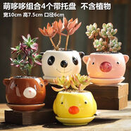 仟尚亿四个一套花盆陶瓷小号带托盘绿萝绿植简约风套装肉肉植物多肉花盆 萌哆哆组合4个带托盘
